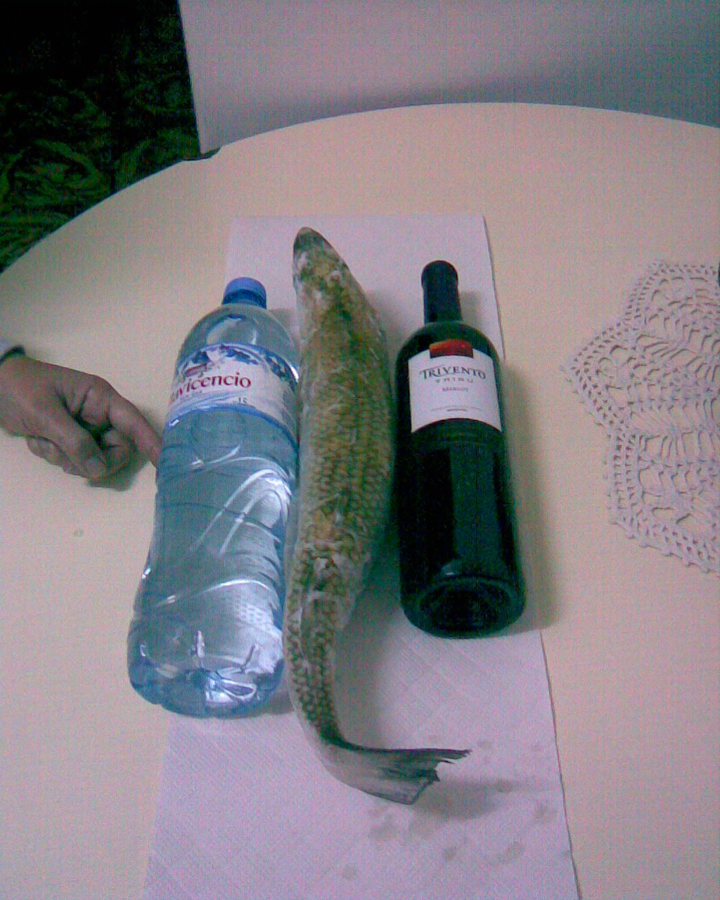 fotos/0000-00-00 - Infancia/Imagen058.jpg